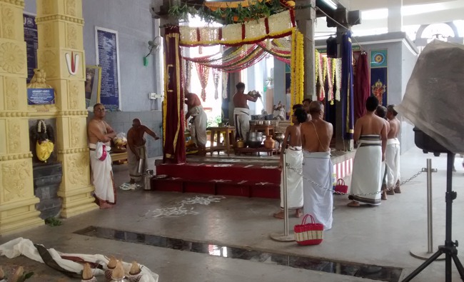 Mylapore SVDD Srinivasa perumal temple Hayagreeva jayanthi 2014--06