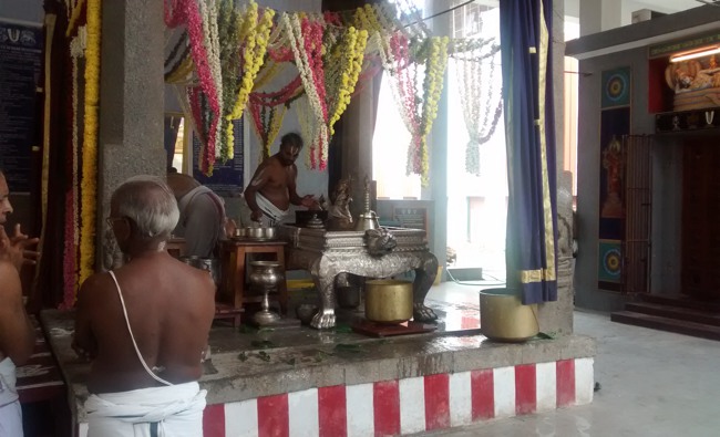 Mylapore SVDD Srinivasa perumal temple Hayagreeva jayanthi 2014--10