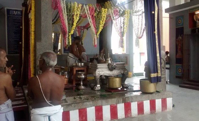 Mylapore SVDD Srinivasa perumal temple Hayagreeva jayanthi 2014--11