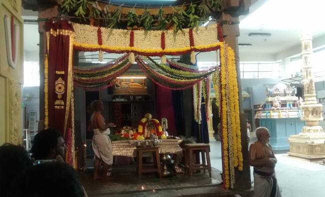 Mylapore SVDD Srinivasa perumal temple Hayagreeva jayanthi 2014--12