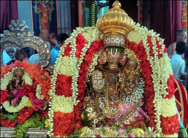 Mylapore SVDD Srinivasa perumal temple Hayagreeva jayanthi 2014--18