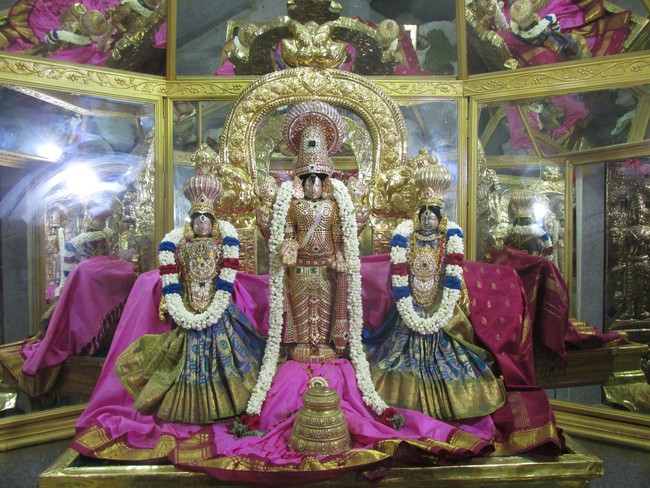 Nagai Soundararaja Perumal Temple Rahtnangi Sevai  2014 01