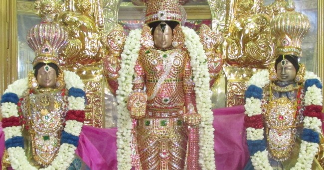 Nagai Soundararaja Perumal Temple Rahtnangi Sevai  2014 04