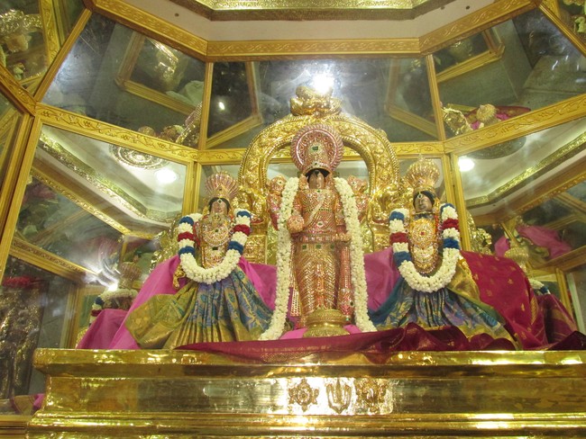 Nagai Soundararaja Perumal Temple Rahtnangi Sevai  2014 05