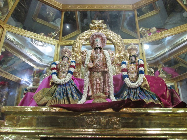 Nagai Soundararaja Perumal Temple Rahtnangi Sevai  2014 06