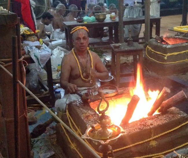Nanganallur Sri Lakshmi Hayavadhana Perumal Temple ThiruPavithrothsava Satrumurai13
