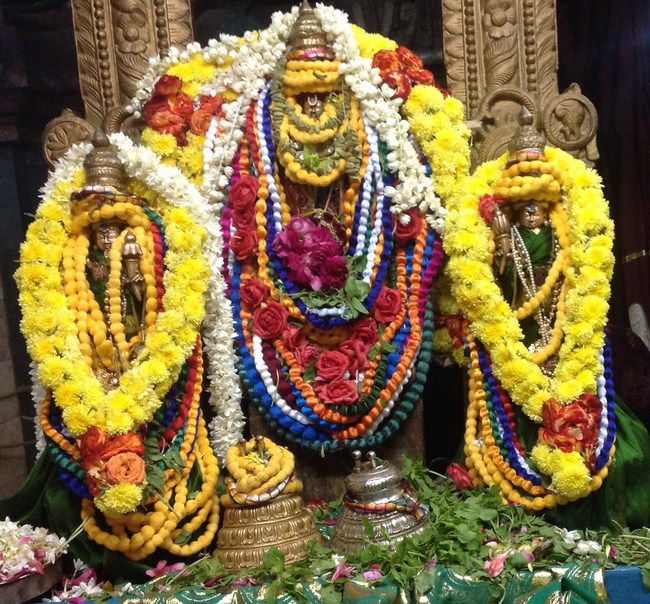 Nanganallur Sri Lakshmi Hayavadhana Perumal Temple ThiruPavithrothsava Satrumurai6
