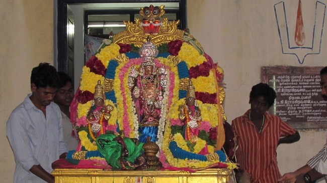 Nungambakkam Sri Prasanna Venkatesa Perumal Temple Brahmotsavam10