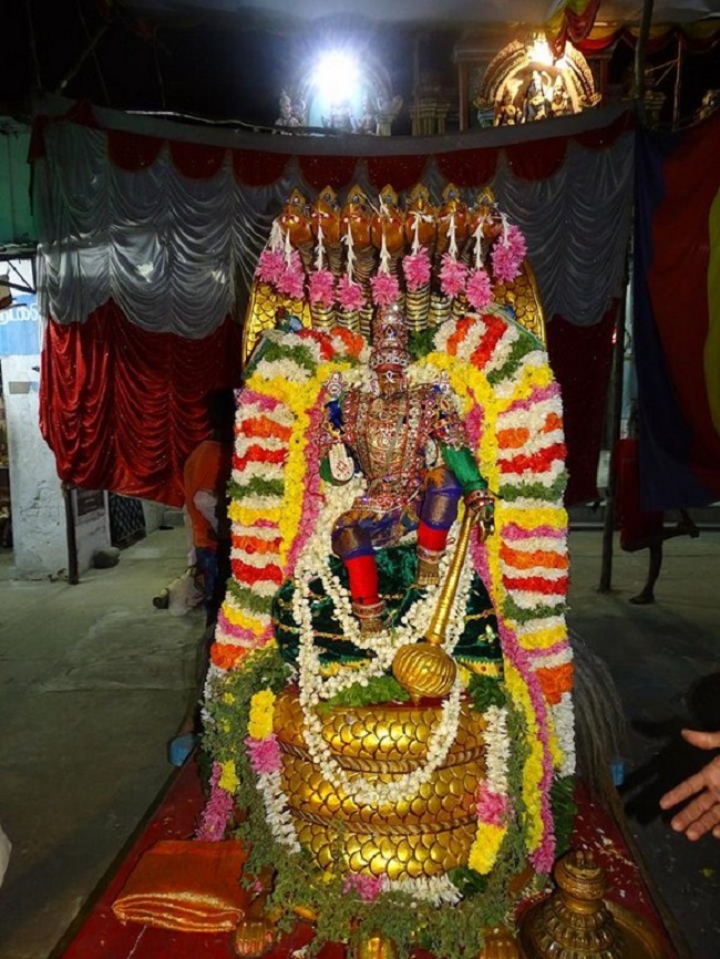 Nungambakkam Sri Prasanna Venkatesa Perumal Temple Brahmotsavam15