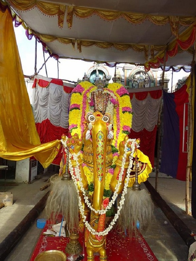 Nungambakkam Sri Prasanna Venkatesa Perumal Temple Brahmotsavam17