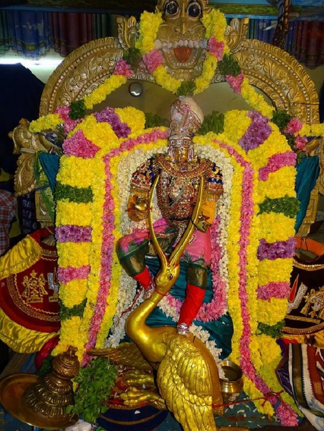 Nungambakkam Sri Prasanna Venkatesa Perumal Temple Brahmotsavam17