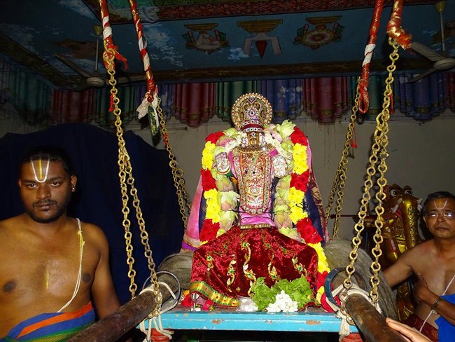 Nungambakkam Sri Prasanna Venkatesa Perumal Temple Brahmotsavam19