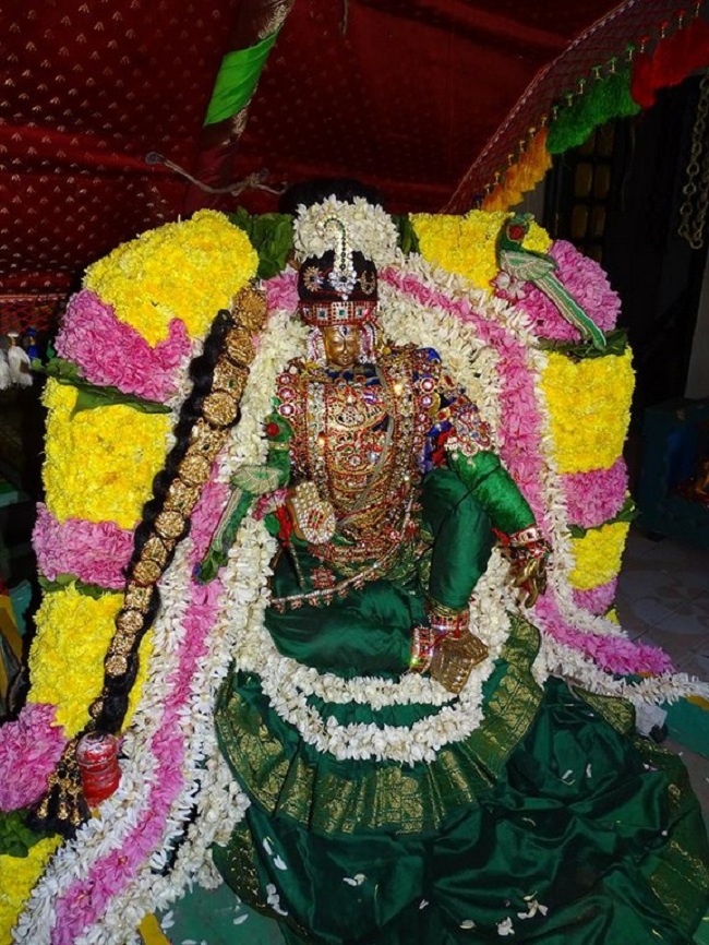 Nungambakkam Sri Prasanna Venkatesa Perumal Temple Brahmotsavam22