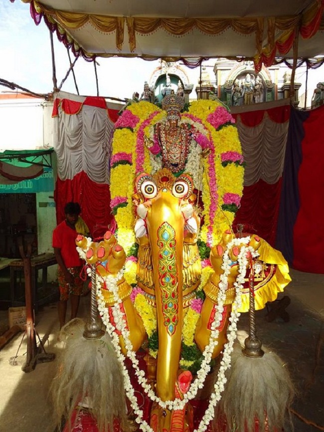 Nungambakkam Sri Prasanna Venkatesa Perumal Temple Brahmotsavam4