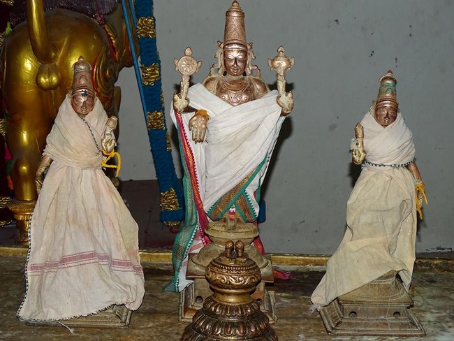 Nungambakkam Sri Prasanna Venkatesa Perumal Temple Brahmotsavam5