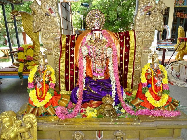Nungambakkam Sri Prasanna Venkatesa Perumal Temple Brahmotsavam6