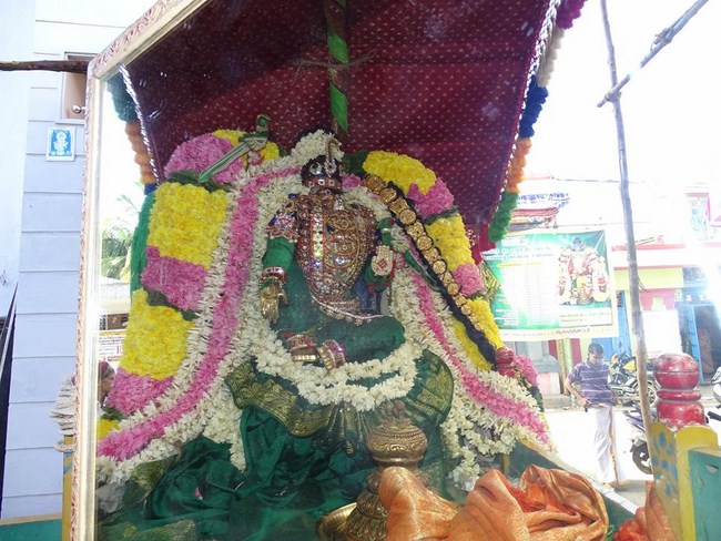 Nungambakkam Sri Prasanna Venkatesa Perumal Temple Brahmotsavam9