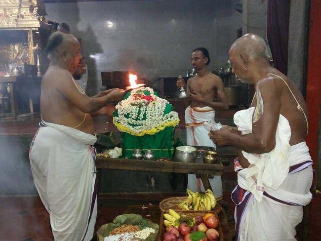 Nuthana Sri Vaidya Veeraraghava Perumal Prathistai Utsavam At Selaiyur Ahobhila Mutt1