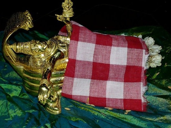 Nuthana Sri Vaidya Veeraraghava Perumal Prathistai Utsavam At Selaiyur Ahobhila Mutt12