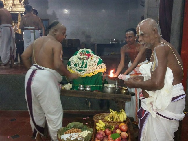 Nuthana Sri Vaidya Veeraraghava Perumal Prathistai Utsavam At Selaiyur Ahobhila Mutt3
