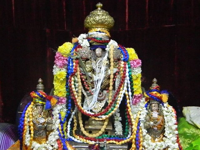 PV Kalathur Sri Lakshmi Narasimhaswami Sannadhi Pavithrotsavam day 1  2014 10