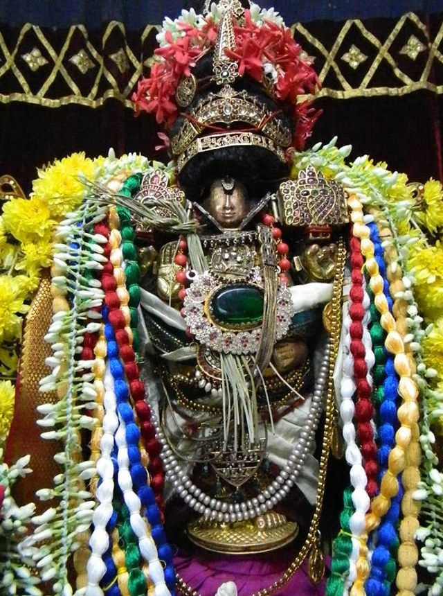 PV Kalathur Sri Lakshmi Narasimhaswami Temple Pavithrotsavam day 3 2014  05