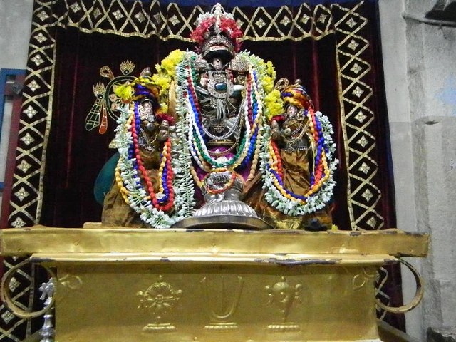 PV Kalathur Sri Lakshmi Narasimhaswami Temple Pavithrotsavam day 3 2014  10