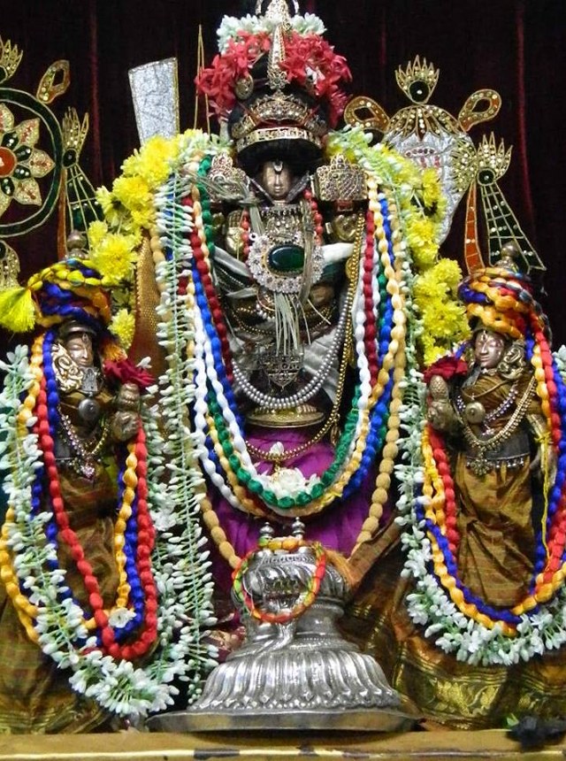 PV Kalathur Sri Lakshmi Narasimhaswami Temple Pavithrotsavam day 3 2014  11