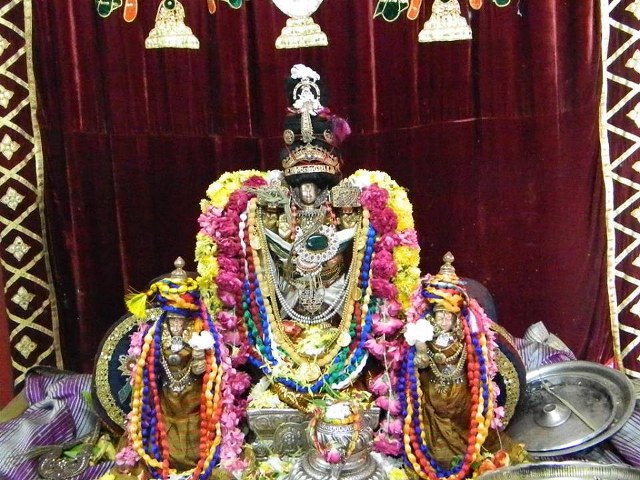 PV Kalathur Sri Lakshmi Narasimhaswami Temple Pavithrotsavam day 3 2014  16