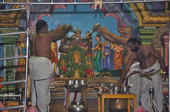 Perambur Sri Venkatesa Perumal Koil Jaya Varusha Pavithrotsava Satrumurai2