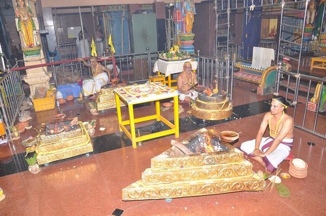Perambur Sri Venkatesa Perumal Koil Jaya Varusha Pavithrotsava Satrumurai23