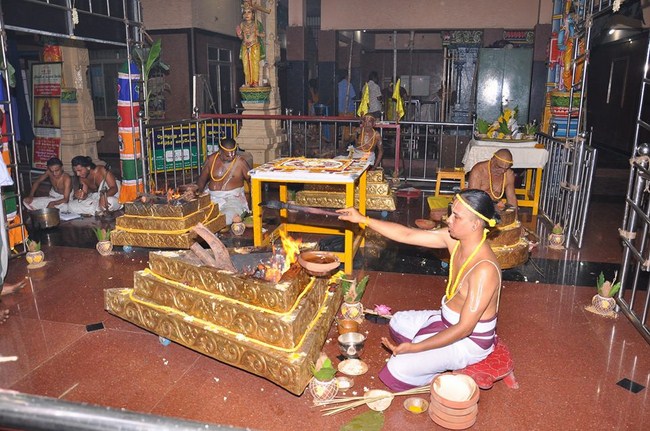 Perambur Sri Venkatesa Perumal Koil Jaya Varusha Pavithrotsava Satrumurai9