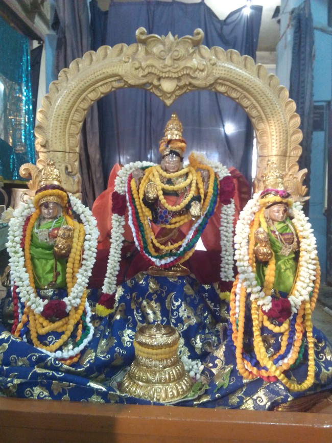 Perungalathur Srinivasa Perumal Temple Pavithrotsavam  Day 4 2014 01