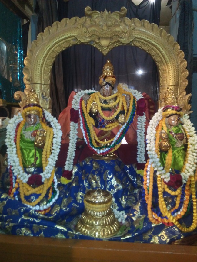 Perungalathur Srinivasa Perumal Temple Pavithrotsavam  Day 4 2014 02