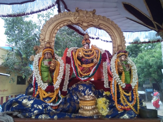 Perungalathur Srinivasa Perumal Temple Pavithrotsavam  Day 4 2014 04