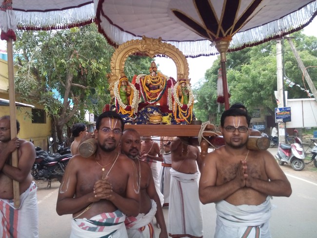Perungalathur Srinivasa Perumal Temple Pavithrotsavam  Day 4 2014 06