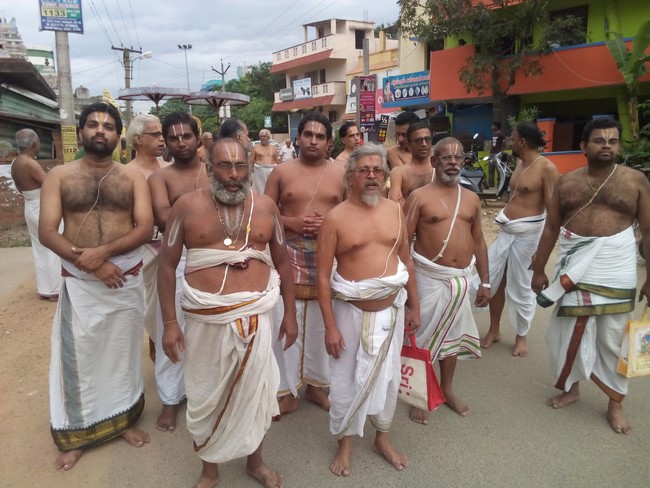 Perungalathur Srinivasa Perumal Temple Pavithrotsavam  Day 4 2014 09
