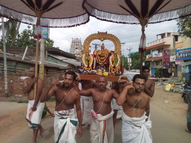 Perungalathur Srinivasa Perumal Temple Pavithrotsavam  Day 4 2014 11