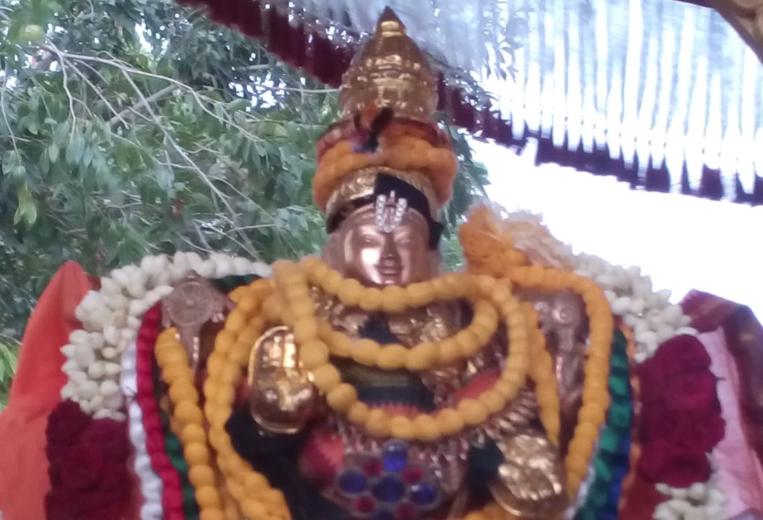 Perungalathur Srinivasa perumal Temple Pavithrotsavam day 4