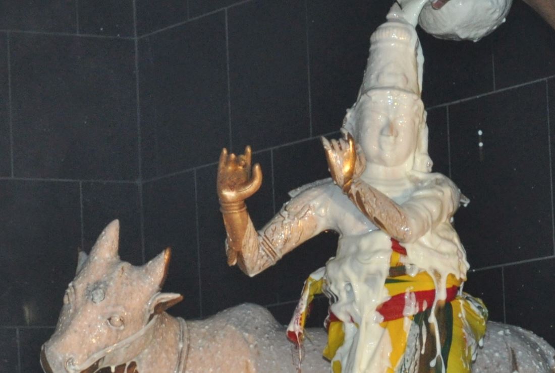 Pomona Sri Jayanthi utsava, 2014-2