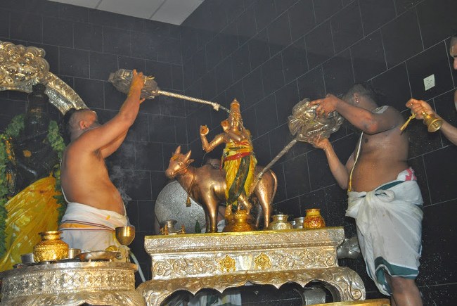 Pomona Sri Ranganatha Perumal Temple Sri Jayanthi UTsavam  2014 27