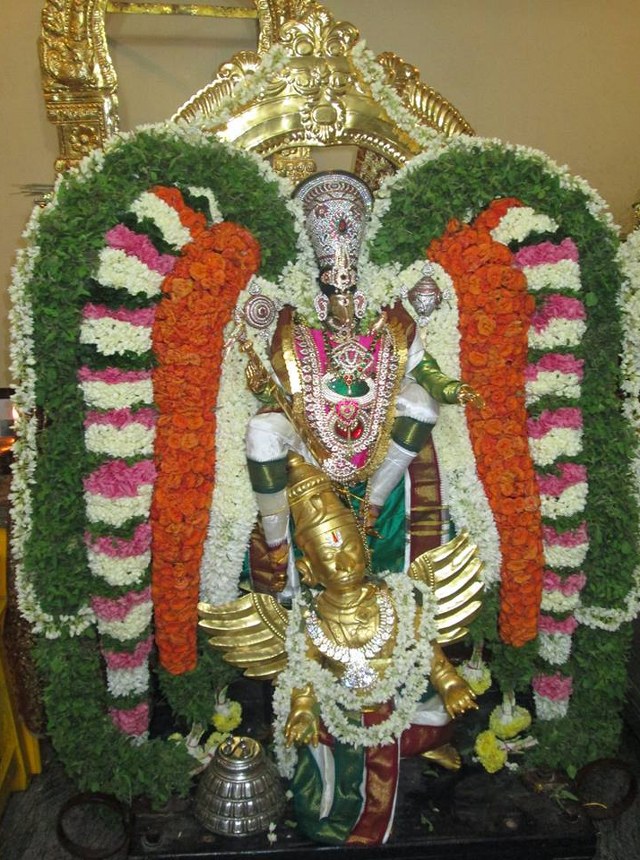 Pondicherry Hayagreevar Sannadhi Day 4 Garuda Sevai 2014 05