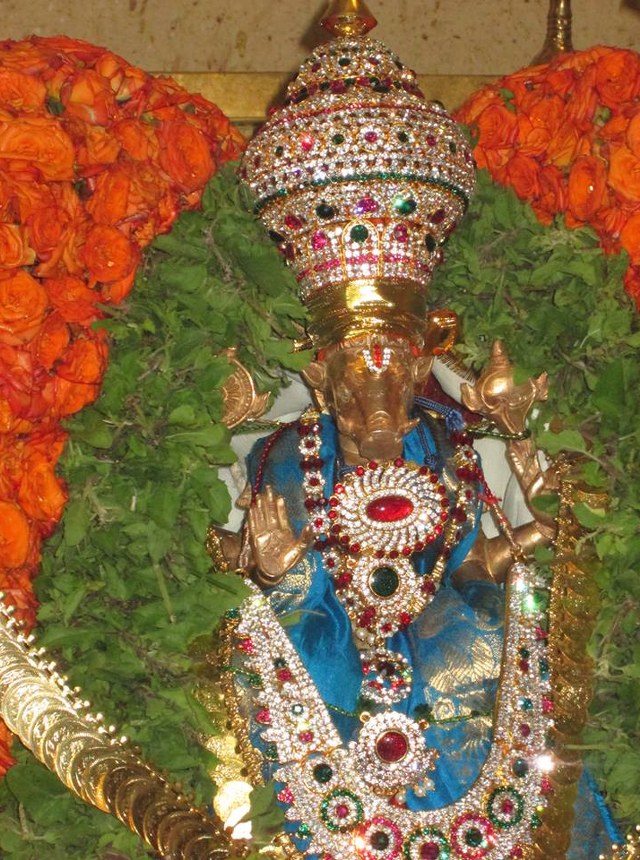 Pondicherry Hayagreevar Sannadhi Day 4 Garuda Sevai 2014 11