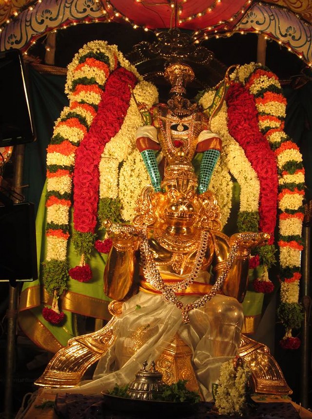 Pondicherry Sri Hayagreevar Sannadhi Brahmotsavam day 5  2014 05