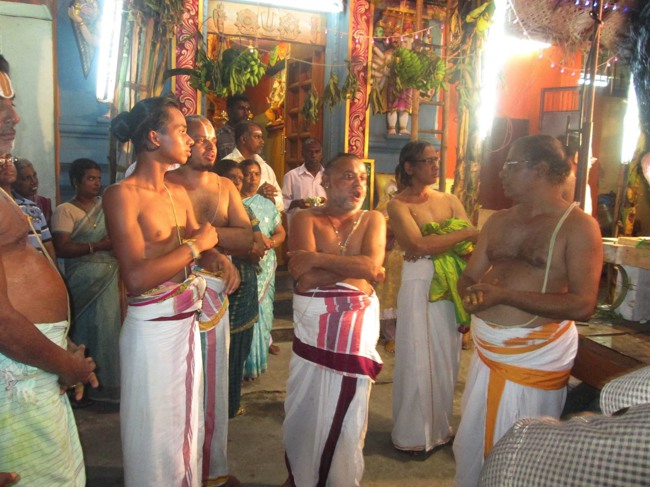 Pondicherry Sri Hayagreevar Sannadhi Brahmotsavam day 7 2014--03