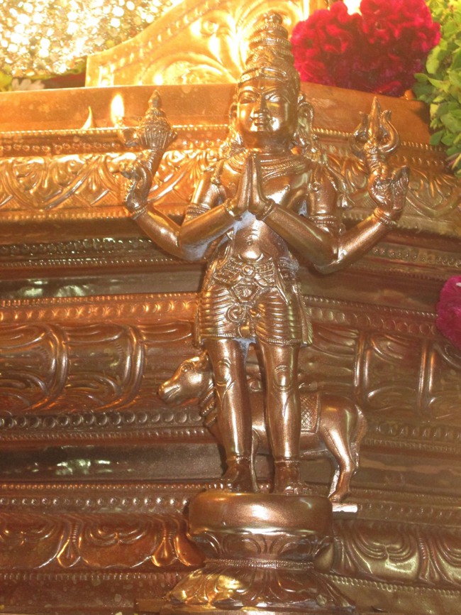 Pondicherry Sri Hayagreevar Sannadhi Brahmotsavam day 7 2014--06