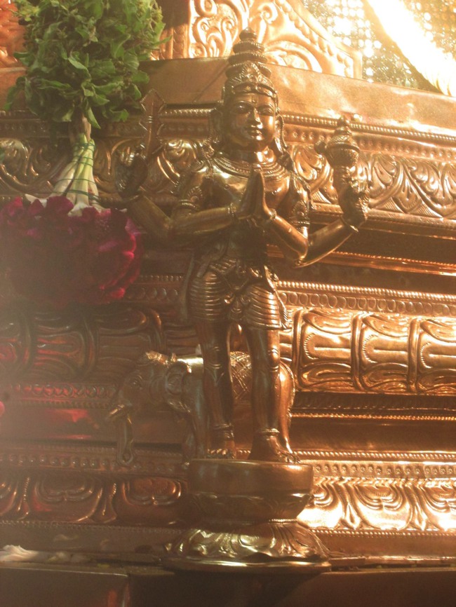 Pondicherry Sri Hayagreevar Sannadhi Brahmotsavam day 7 2014--12