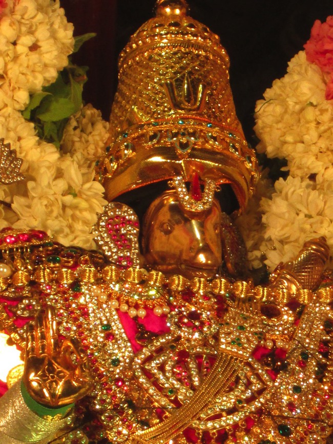 Pondicherry Sri Hayagreevar Sannadhi Brahmotsavam day 7 2014--16