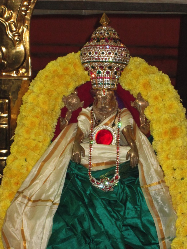 Pondicherry Sri Hayagreevar Sannadhi Brahmotsavam day 7 2014--21