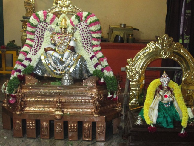Pondicherry Sri Hayagreevar Sannadhi Brahmotsavam day 7 2014--24